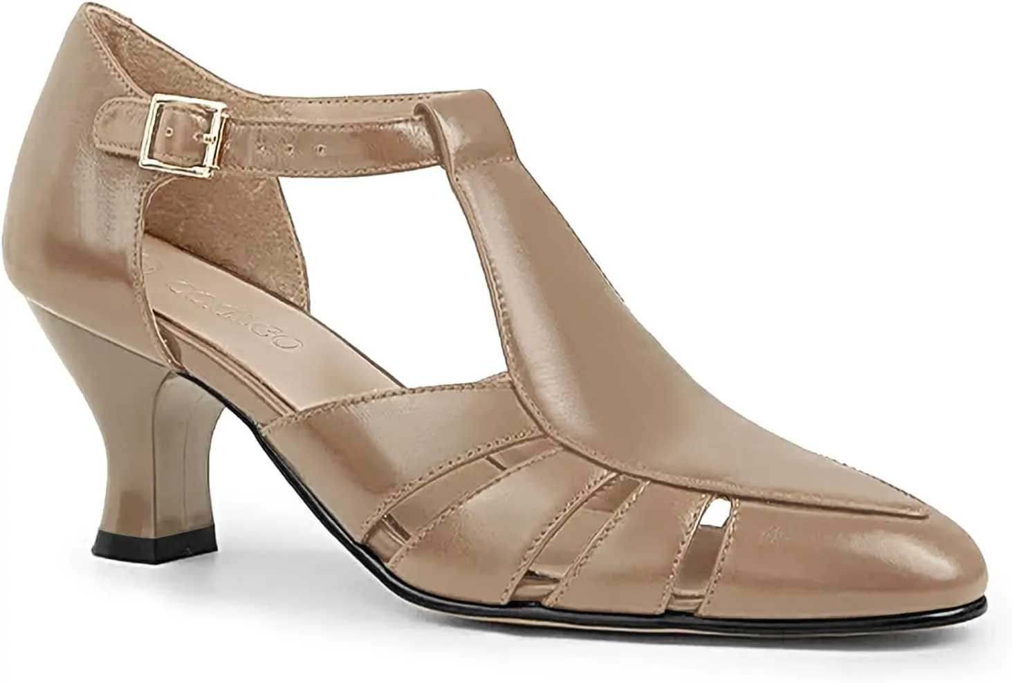 Coutgo Womens Low Heel Dress Shoes T-Strap Mary Jane Kitten Heels Dance Vintage Cutout Pumps