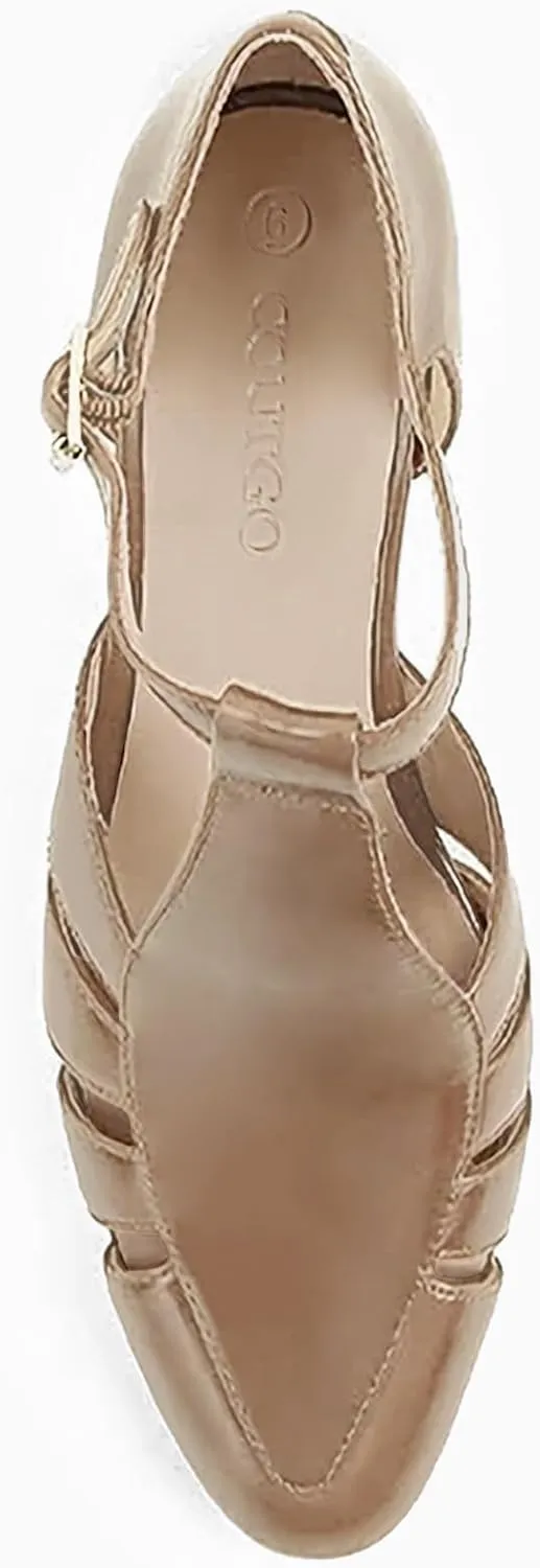 Coutgo Womens Low Heel Dress Shoes T-Strap Mary Jane Kitten Heels Dance Vintage Cutout Pumps