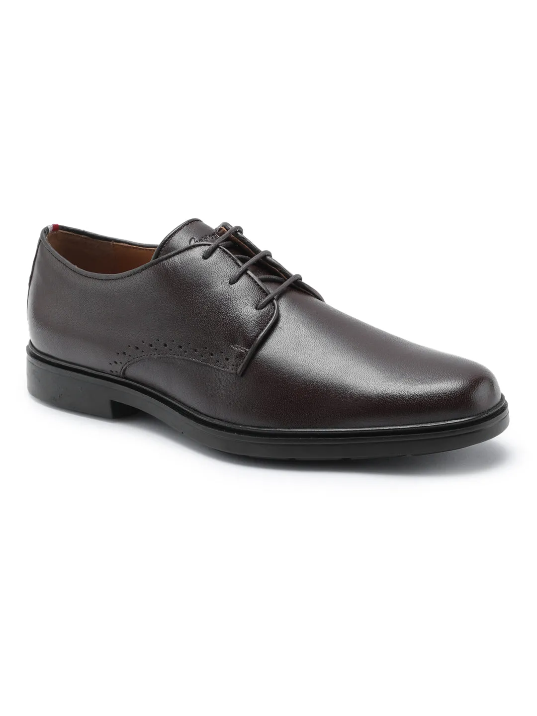 Lucas Royal Oak