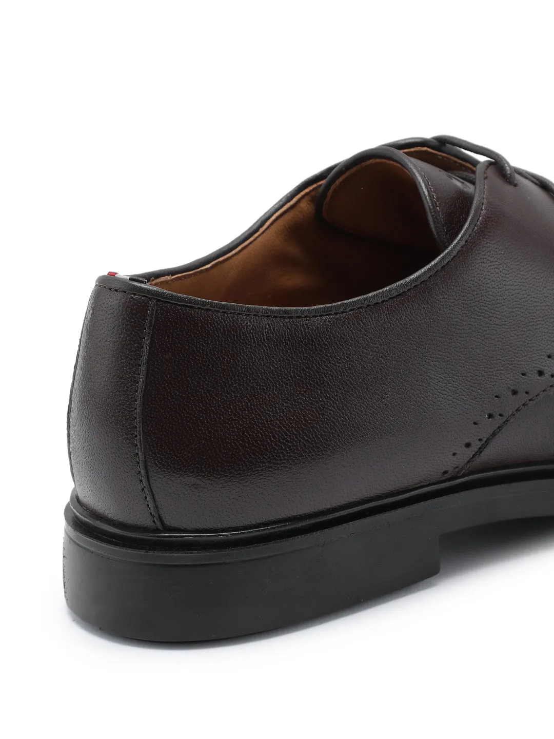 Lucas Royal Oak