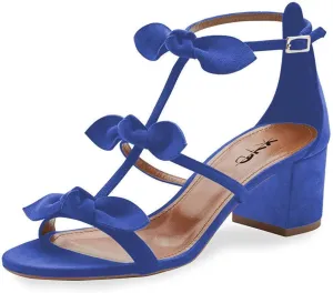 XYD Women Block Chunky Heels Open Toe Sandals BowKnots Gladiator Strappy Pumps Cute Party Casual Shoes